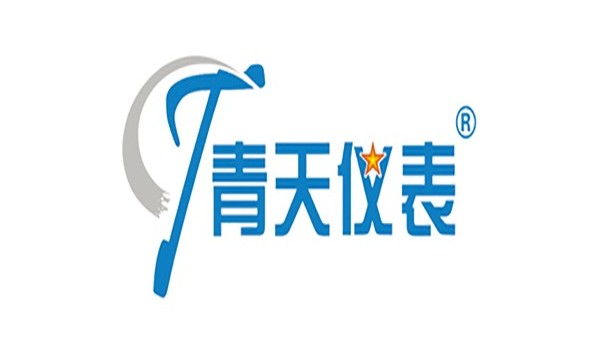 青天仪表——电磁开云NBA篮球出口销量第一的制造商  20年120国  验证高可靠
